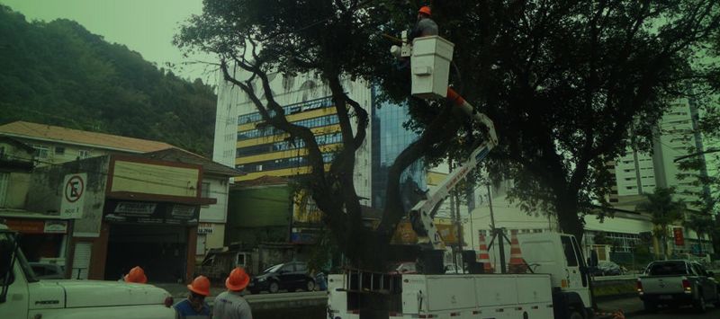 Foto de capa do serviço Treinamento  In Company